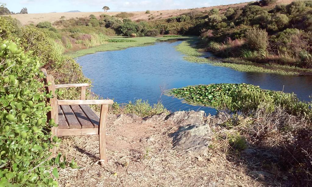 Herdade Do Pessegueiro بورتو كوفو المظهر الخارجي الصورة