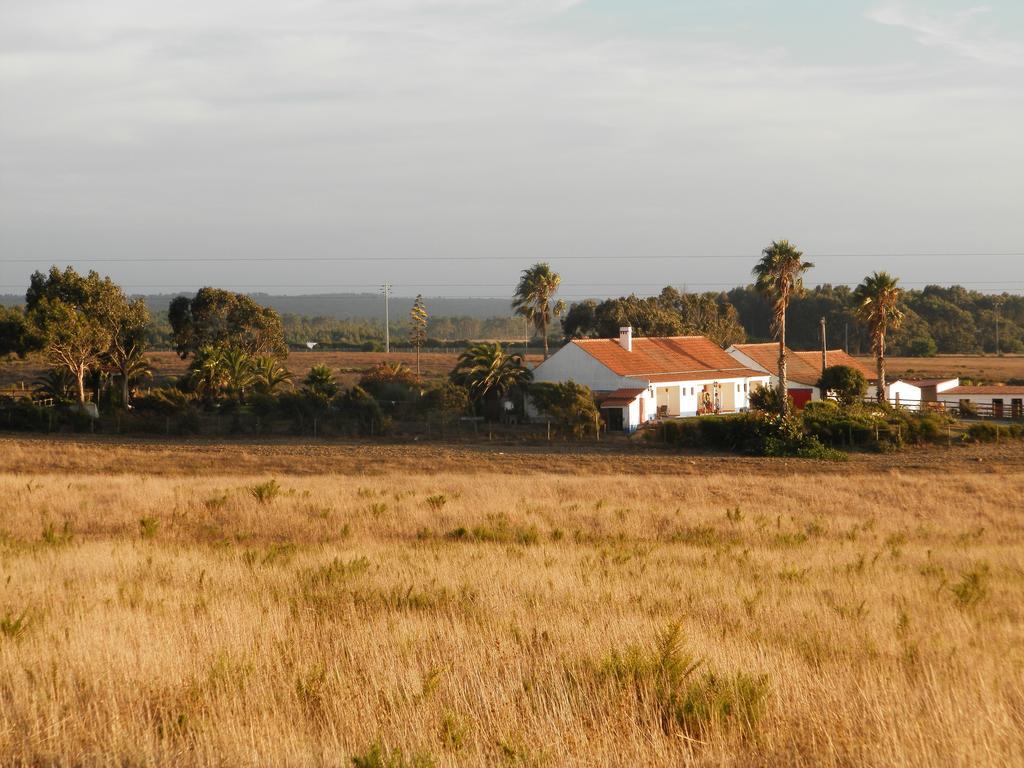 Herdade Do Pessegueiro بورتو كوفو المظهر الخارجي الصورة