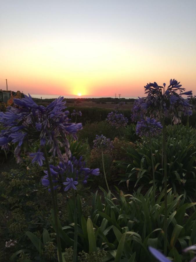 Herdade Do Pessegueiro بورتو كوفو المظهر الخارجي الصورة